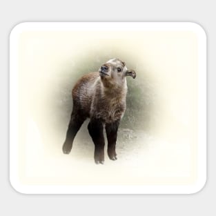 Baby takin Sticker